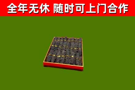 荥经回收海参